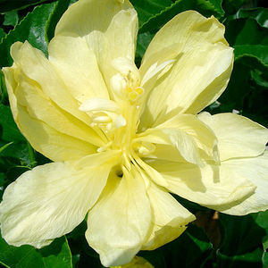 ��������� ��������� ��� ������� Edward la plante ��� ������ ����� ������