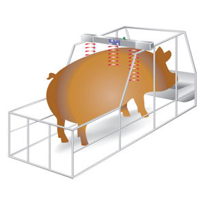 ������ ��� ����������� Contact-O-Max