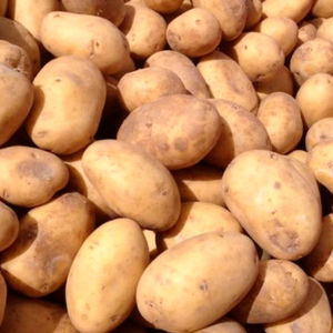 Berg Agrar GmbH : �������������� -