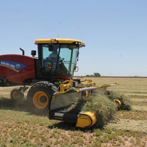 ROC srl : �������������������� ������ -