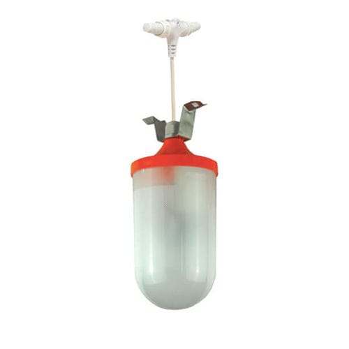 ��������� ��� ����� Sterna LED ����� �������