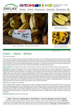 ������������ ������ ������ ����� Delicata