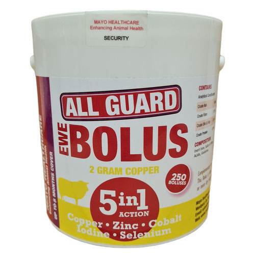 ����� ������� All Guard Ewe ��� ���� ��� ��� ��� �������