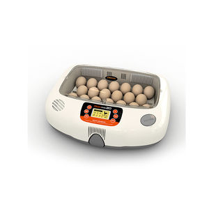 Autoelex Co., Ltd. : �������������� -