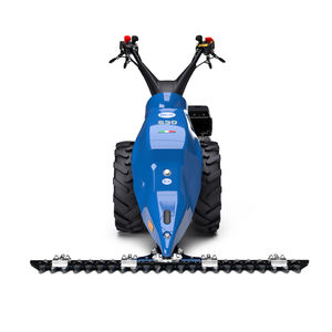 BCS : �������������������� ������ -
