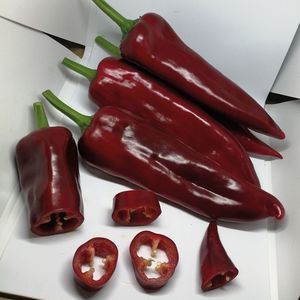 ������ �������� ����� ��� ��������� ������� MRP 9011 �������