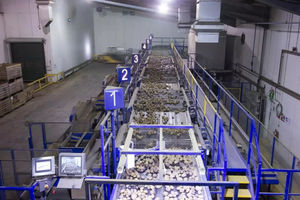 Tong Engineering : �������������������� ��������� -