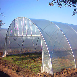 Co. Ser. - costruzioni serre : �������������������� ��������� -