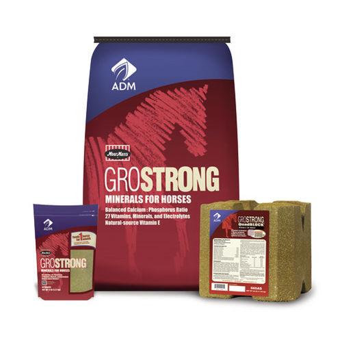 ������� ��� ������� GROSTRONG Minerals block � ��������������� � ����� � ����������
