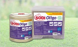 ������� ��� �������� �������� ����� SodiSo'Mag � ��������������� � ������� � ��������