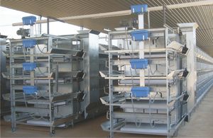 ������� ��� ���������� �����-������� Ecoplus