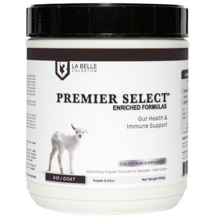 ���������� ��������� ��� ��� PREMIER SELECT � ����� �������