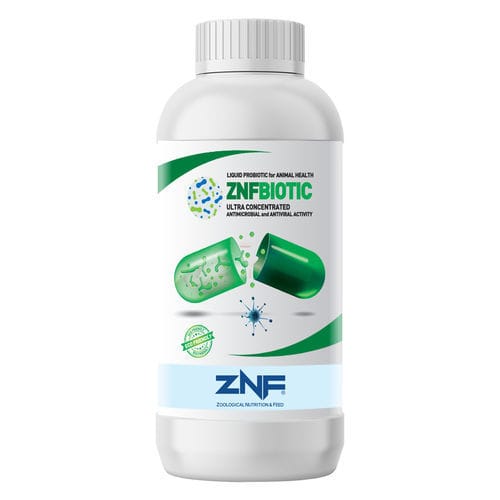 ����������������� ������� �������� BIOTIC ��� �������� �����