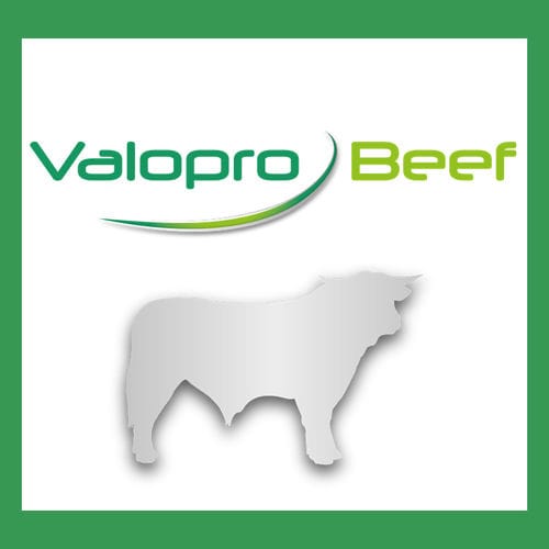 �������� ������� ��� �������� Valopro Beef �������� ��� ��������� �����