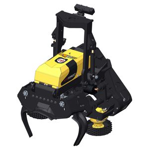 AFM-Forest Ltd : ������������������� ������� -