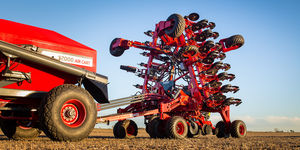 Tanzi : �������������������� ������ -