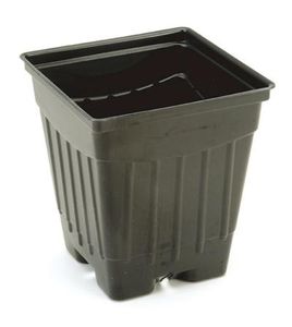 ������ �� �������� 2 Quart ���������� ������