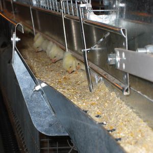 FACCO : �������������� -