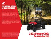 SSV 4x2 PIONEER 1000 4x4 3 ����� c ���������������� �������