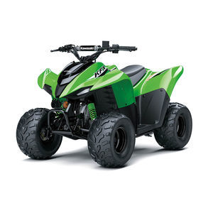 ���������� 4x4 BRUTE FORCE� 750 2024 4x2 � ���������� ���������� �����������