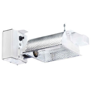 Gavita International : �������������������� ��������� -