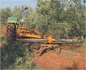 ����������������� ��� ��������� ���� GIROLIVO 320-9 B.L. ����������� � ������� ���������