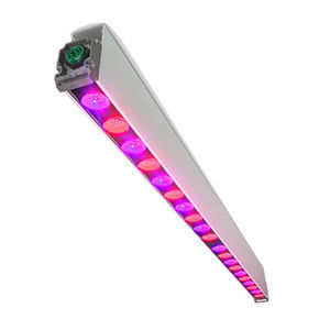 Philips Horticulture LED Solutions : �������������������� ��������� -