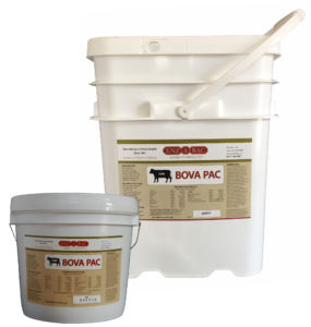 �������� ������� ��� �������� Bova Paste ��� �������� �������� ����� ��� ���� ��� ���