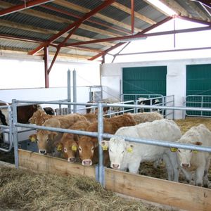 FARMTEC a.s. : �������������� -