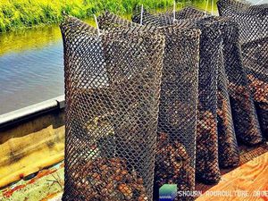Aquaculture cage : �������������� -