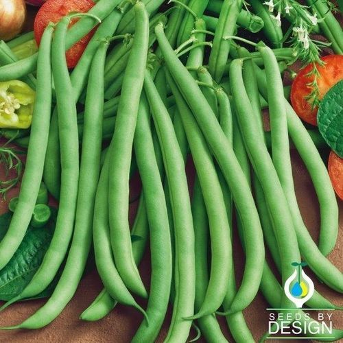 ������� ������ ����� Greencrop Bush ���������