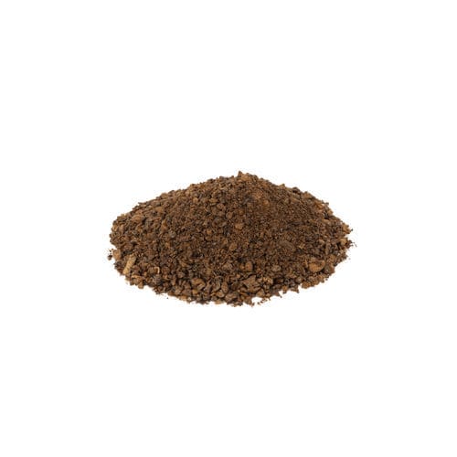 ������ ����� Vicia Faba Proxy