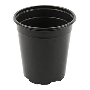Ainong USA Corporation : ����������� -