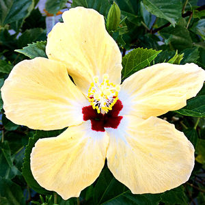 ��������� ��������� ��� ������� Edward la plante ��� ������ ����� ������