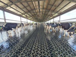 ������ �� ������� Rotary Flooring ��� ��������������������� ������ ��� ��������� ��� ����� ���� ��� ��������� �����