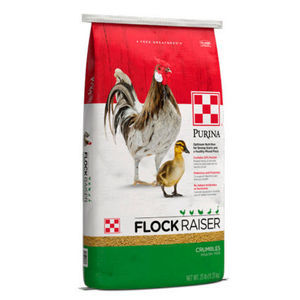 ������� ��� �������� ����� Flock � � ��������������� � ����� � ��������