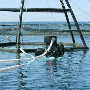 ������ ��� ������� ���������� Orbit 210 ��� �����