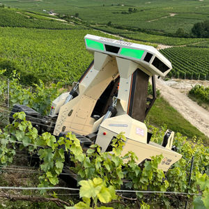 Sabi Agri : �������������������� ������ -