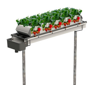 J. Huete Greenhouses : ����������� -