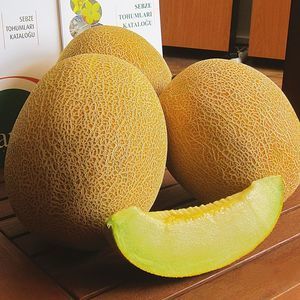 ������ ���� ��� ��������� ������� STANZA ������ ������� �������