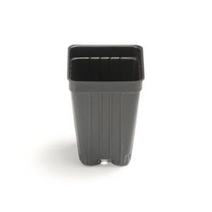 Landmark Plastic : ����������� -