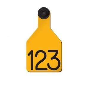 Ritchey Livestock ID : �������������� -