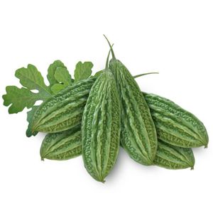 ������ ����� ������� �������� Palee F1 ������� ���������
