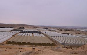 �������� ����� ��� ������� SUNCOVER �� ����������� ����-�� ����������