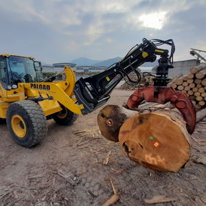 Dalmasso : �������������������� ������ -