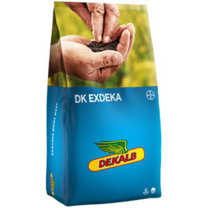������ ������ ���� DK EXDEKA ���������� � ����������� ���������� � ������ ���������