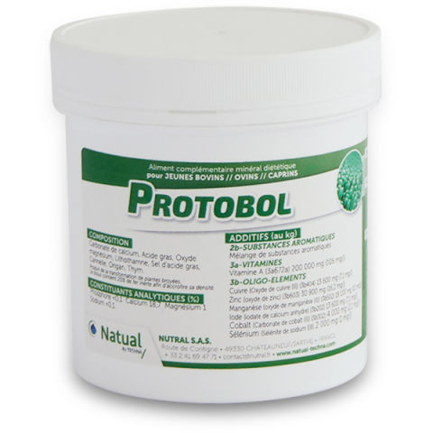 �������� ������� ��� �������� PROTOBOL ��� ����� �������� ��������