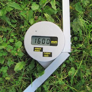 �������� �������� ��� �������� ArborSonic 3D