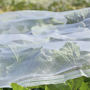 AGRONEW CO., LTD : �������������������� ��������� -