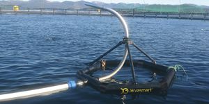 ������� ��������� � ���������� Waterborne ��� ������������